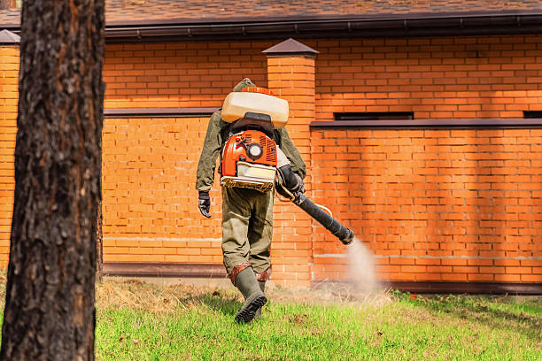 Trusted Termite Control service in Penn Wynne, PA - Nex Pest Control